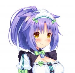 ICinnamonl