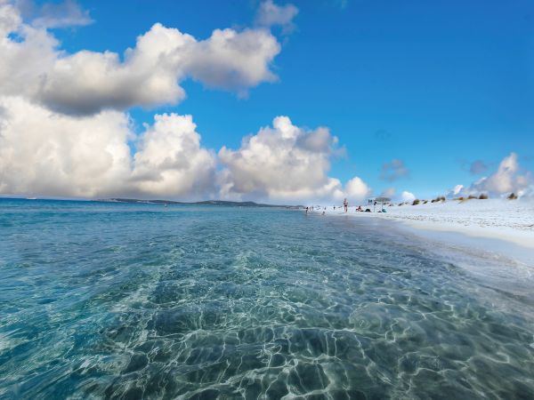 Sardegna
