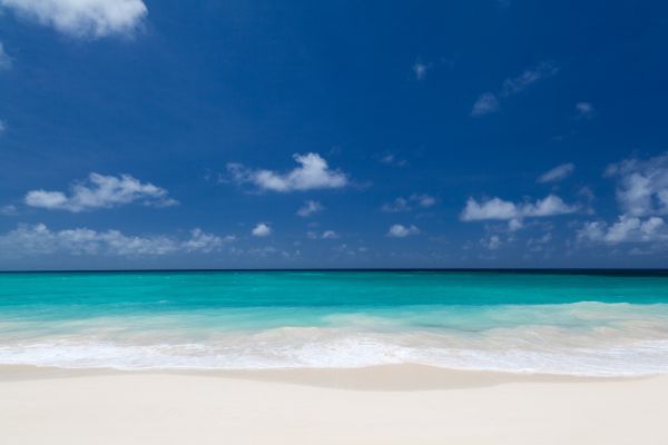 beach,cloud,coast,horizon,landscape,nature