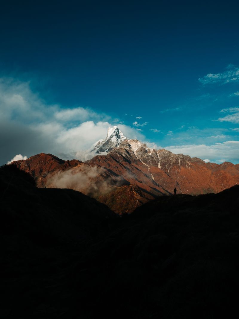 hd,4kwallpaper,Příroda,květ,les,flowers ocean
