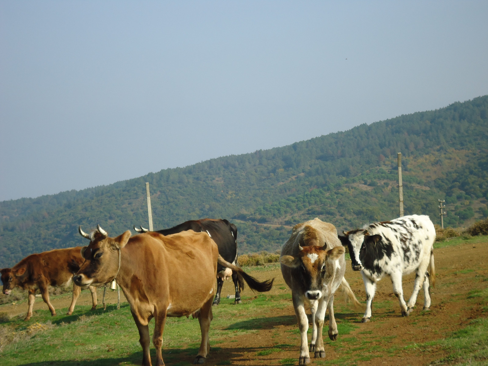 jízdní kolo, trasa