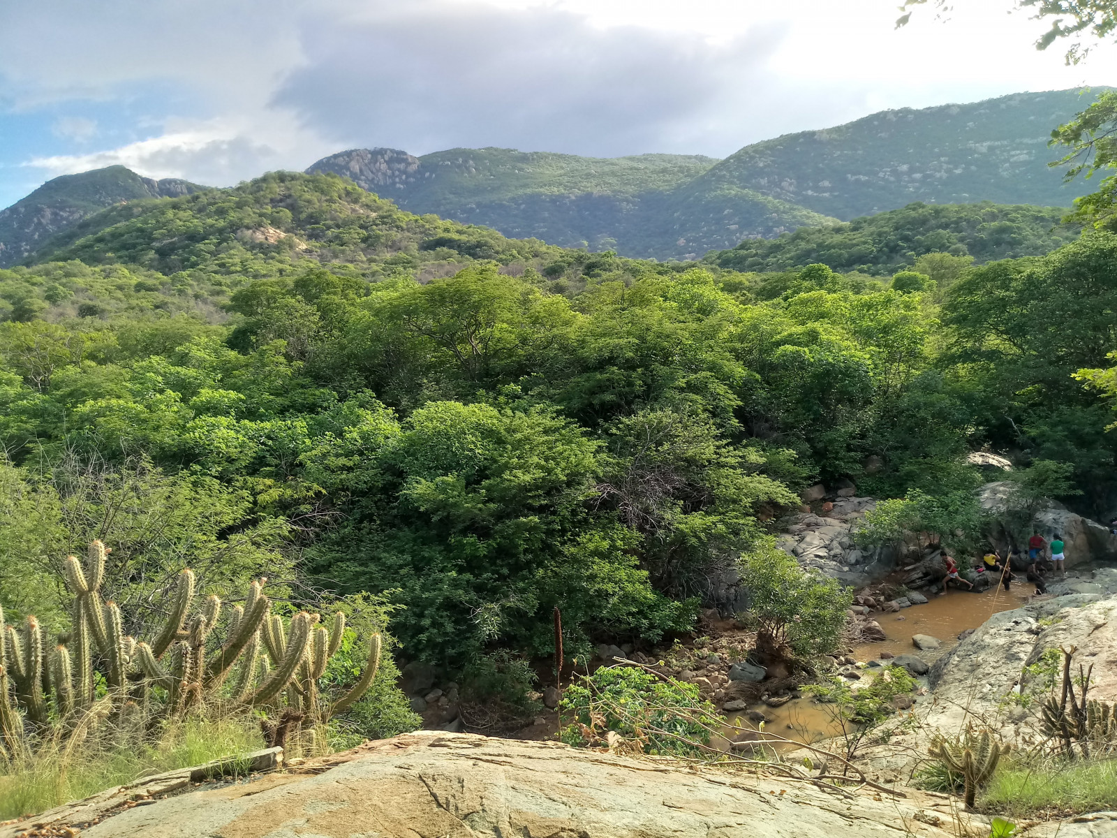 nature