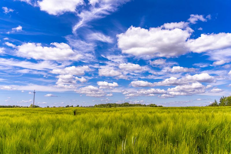 die Architektur,Blue hour,blauer Himmel,Verschwommener Hintergrund,Bokeh,brick building