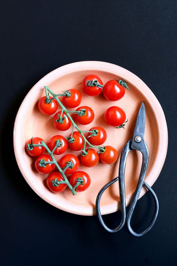 Tomates,Cereja,Ramo,distribuidos,prontos,cortados