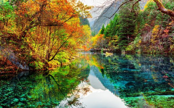 hd,nature,green