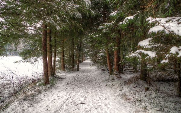 hd,nature,snow