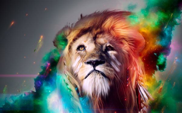 montagem,leao,lion,Rei,lindo,bonito