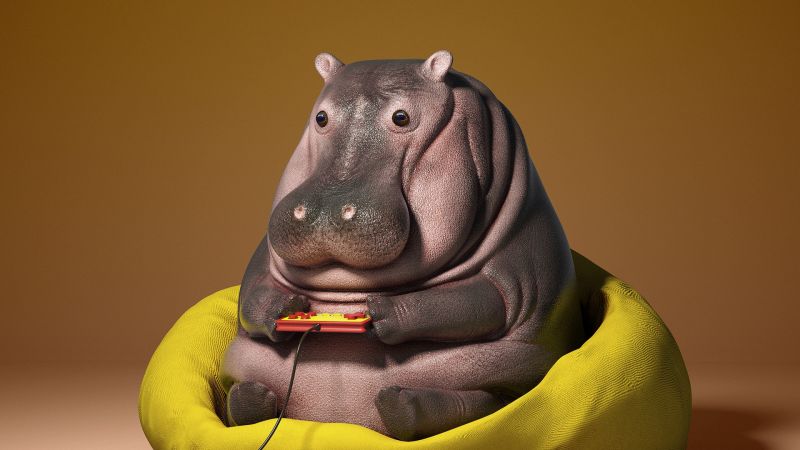 hippo,wallpaper
