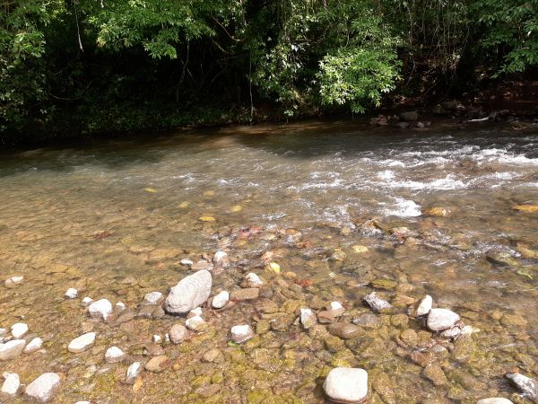 nature,river,mountain