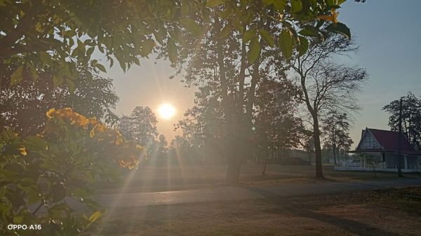 sunshine