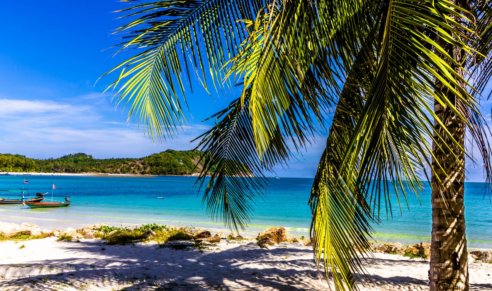 beach, coast, landscape, nature, ocean, palm tree, resort, sea, shore, Sun, sunlight, tree, tropics, vacation