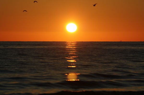Canon,evening,Netherlands,sea,Sun,sundown