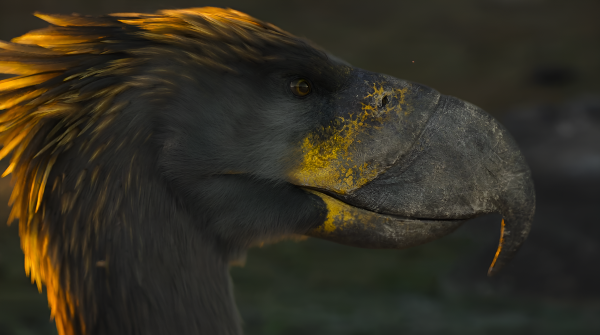 dinosaur