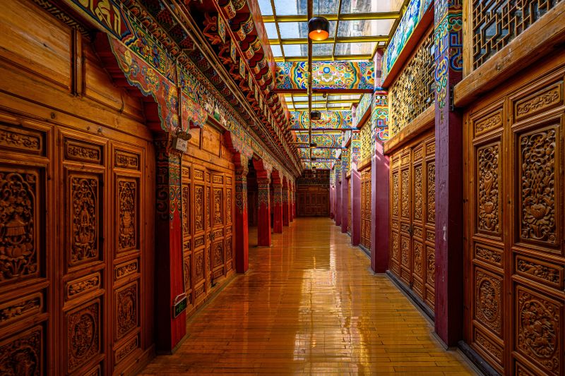 asiatisk,kaukasisk,barn,denim jacket,ældre,gråt hår