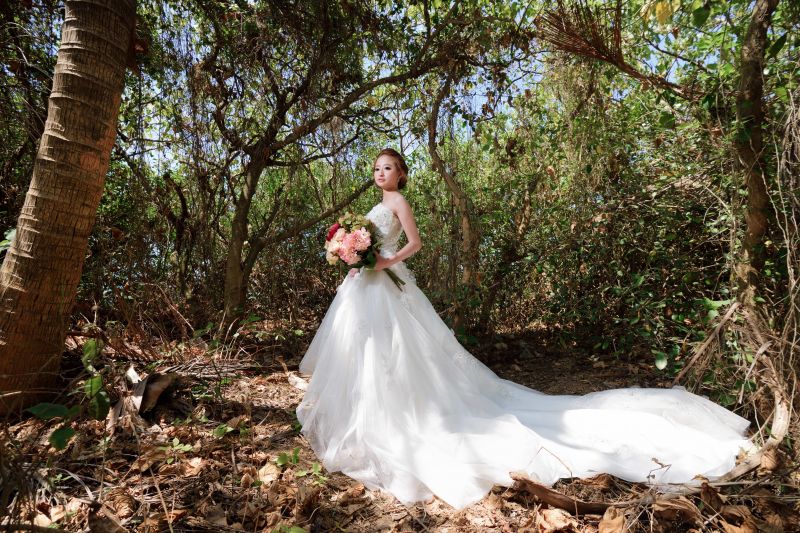 buket,afdeling,blomst,Skov,kjole,blad