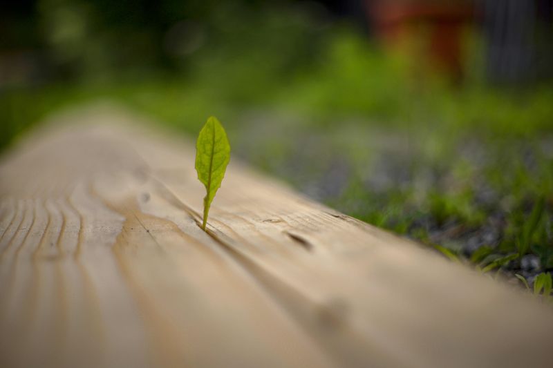 auto,cigareta,muž,náladový,orange sky,venkovní