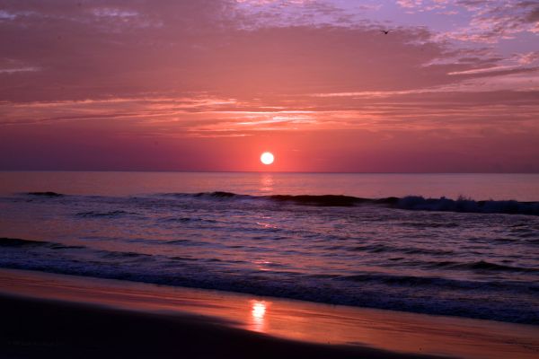 ocean,landscape,sunrise