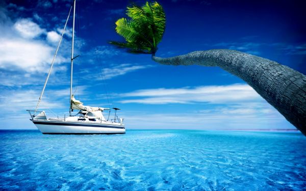 sea