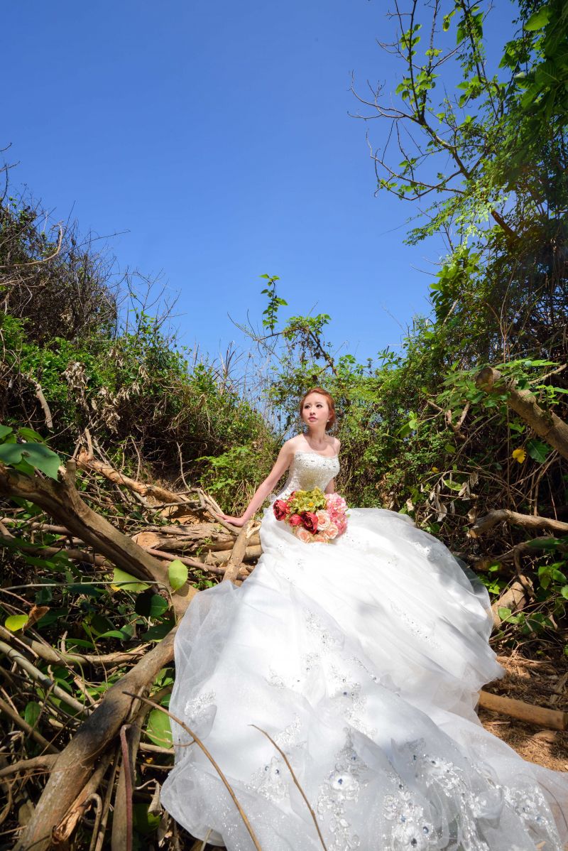 buket,afdeling,blomst,Skov,kjole,blad