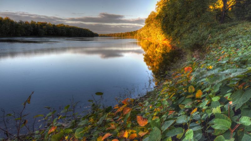 pták, modrá obloha, jasný, uklidnit, kaňon, zblízka