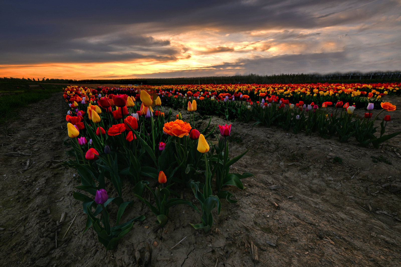 Vogel, blauer Himmel, hell, ruhig, Schlucht, Nahansicht, gemütlich, Umwelt, Abend, Flug, Flora, Wald, düster, home decor, Landschaft, Lebensstil, Langzeitbelichtung, Kleiner Winkel, üppig, Makrofotografie, majestätisch, Wiese, Berg, Natur, Nacht-, Ozean, friedlich, Fluss, romantisch, szenisch, Möwe, geräumig, Frühling, Strom, stilvoll, Sommer-, Sonnenlicht, Sonnig, Sonnenuntergang, Reise, Baum, Dämmerung, Wasserfall, weiter Winkel, Flügel