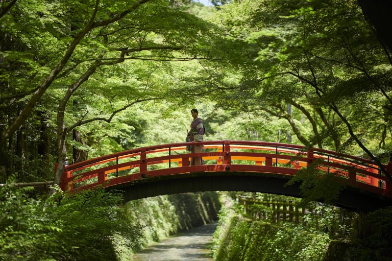 KUNST,asiatisk,bambus,sort og hvid,blå,ceremoni