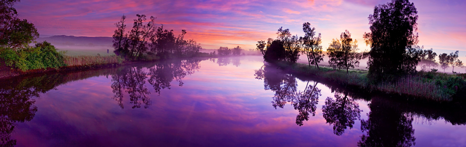 nature