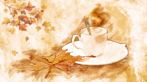 autumn,morning,rain
