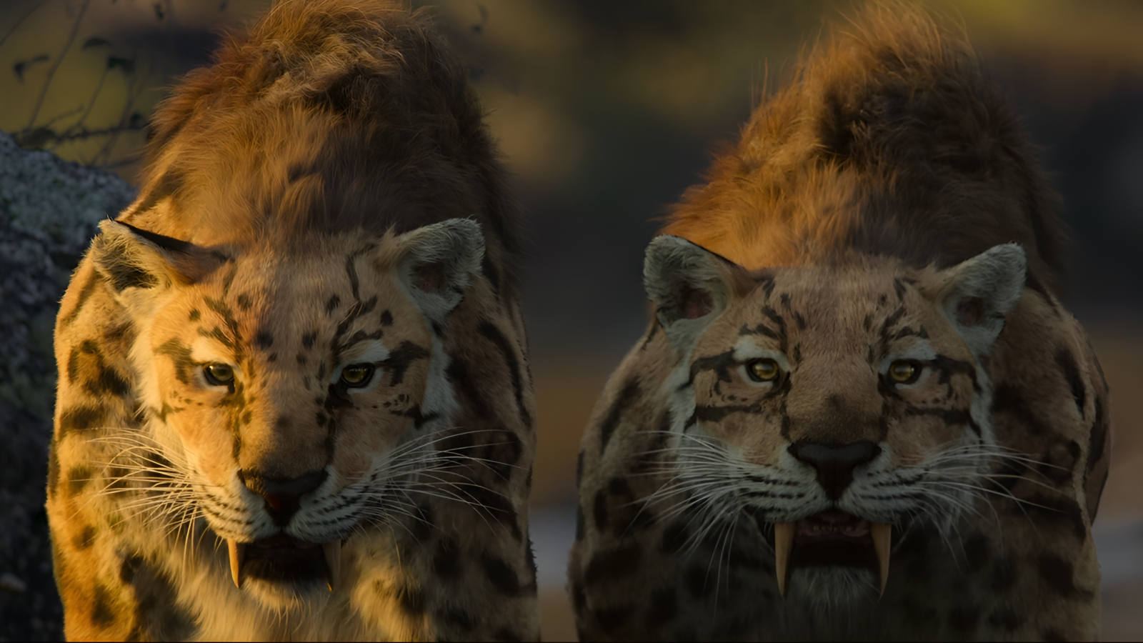 tigers