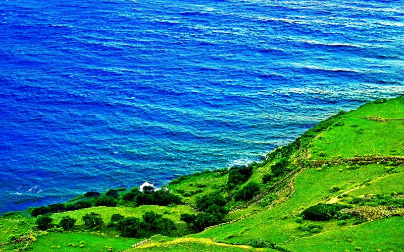 mutluluk,parlak,ufuk,çayır,öğle vakti,deniz