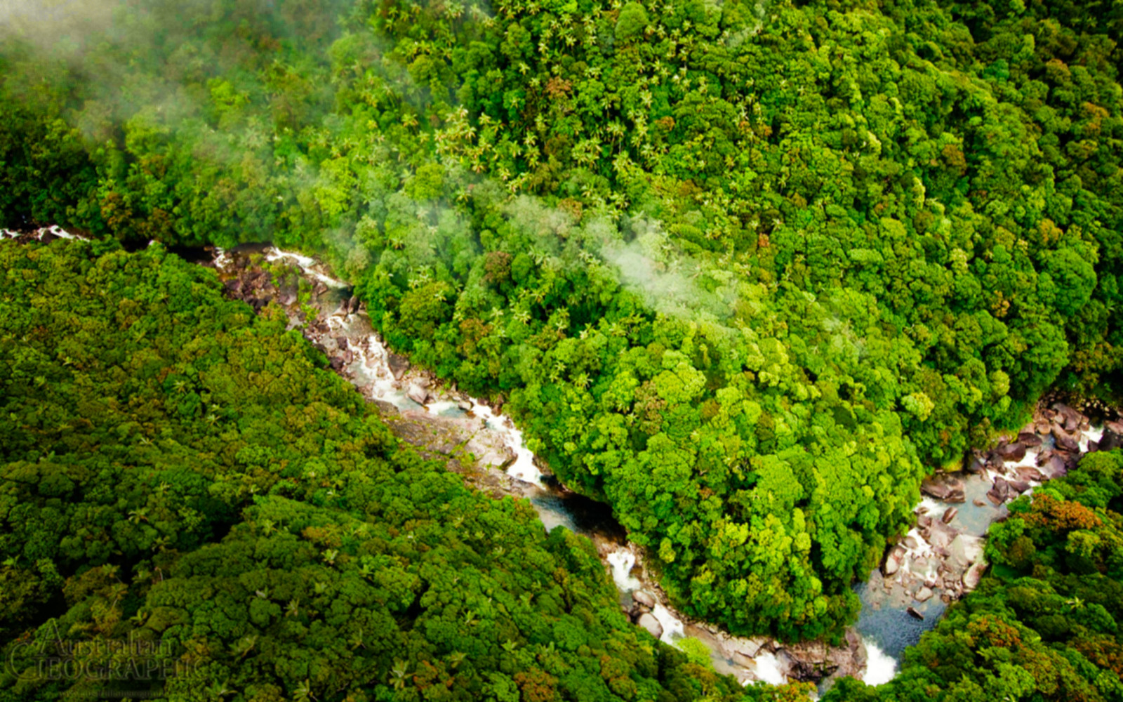 les, džungle, řeka