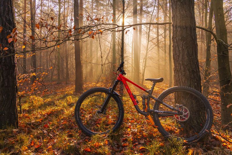 die Architektur,Blue hour,blauer Himmel,Verschwommener Hintergrund,Bokeh,brick building