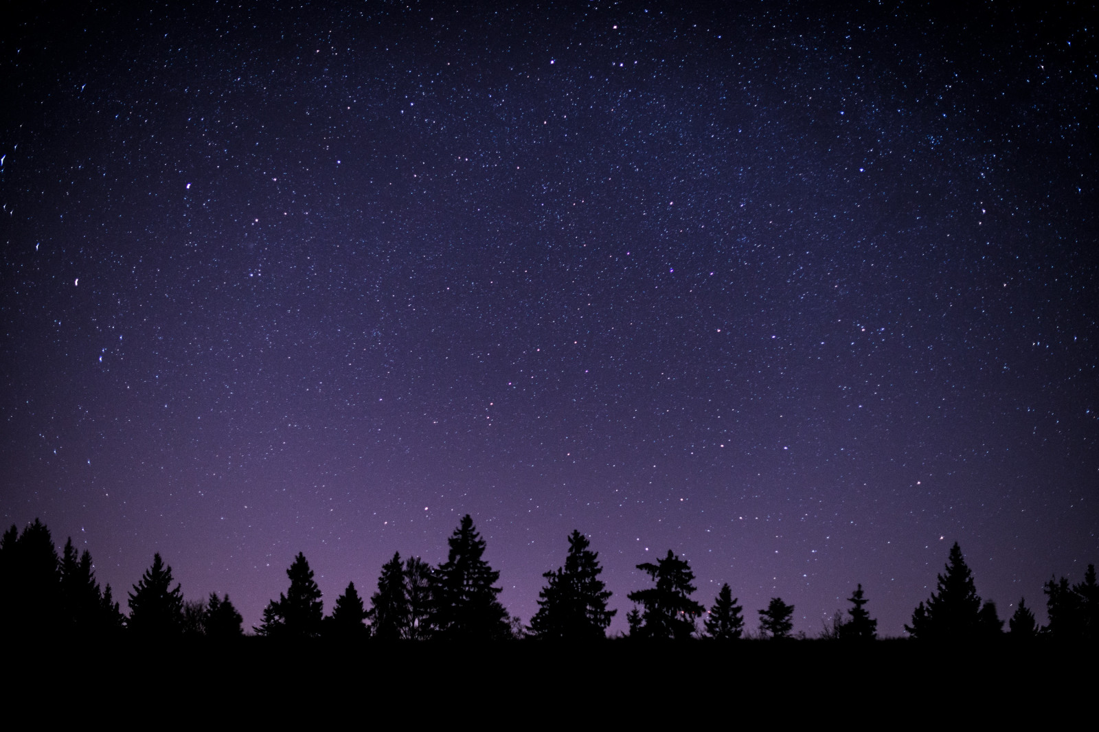 atmosféra, tma, soumrak, les, galaxie, půlnoc, mléčná dráha, měsíční svit, noc, nebe, hvězdy, stromy