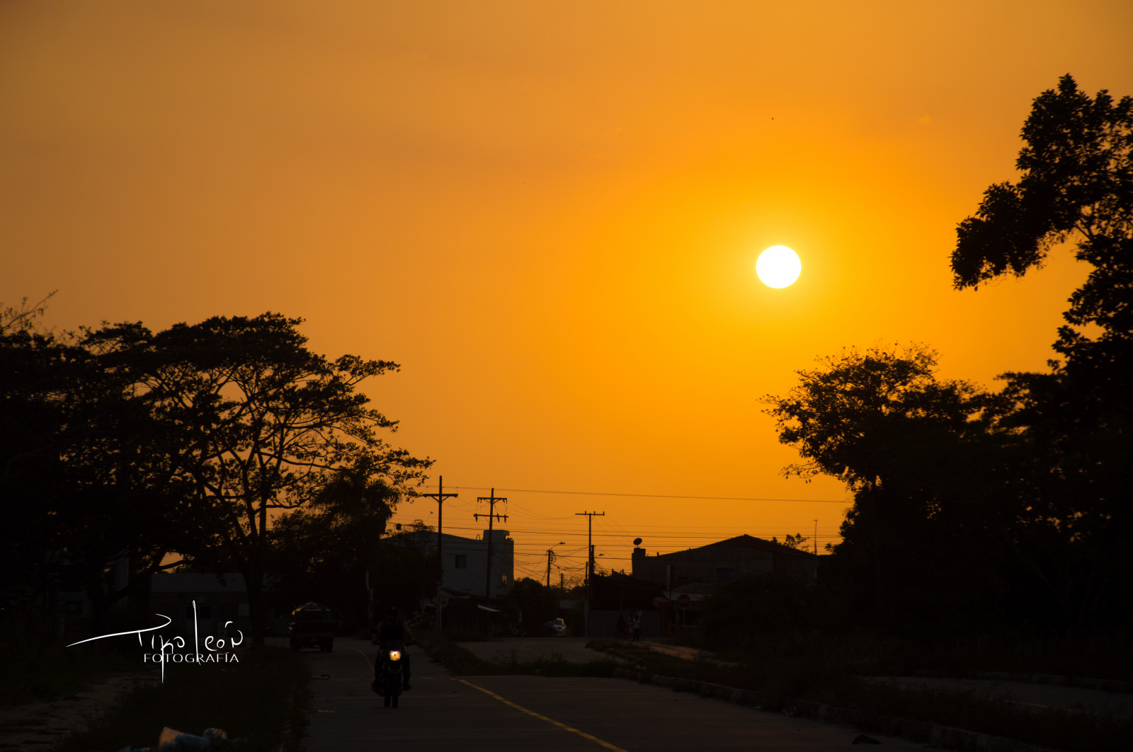 nature, Sun