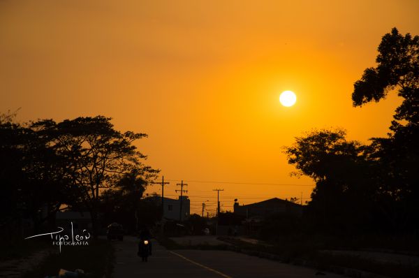 nature,Sun