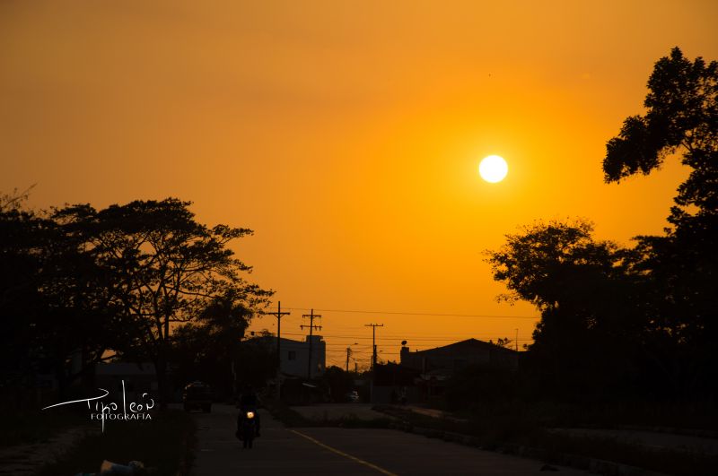 природа,солнце