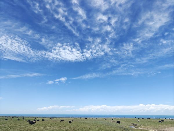 viaggio,vista