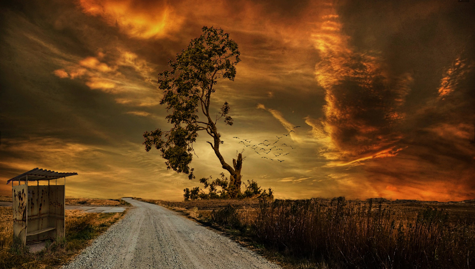 strom, silnice, dráha