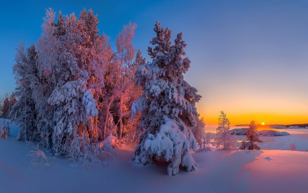 światło słoneczne,Hd,Natura,zimowy
