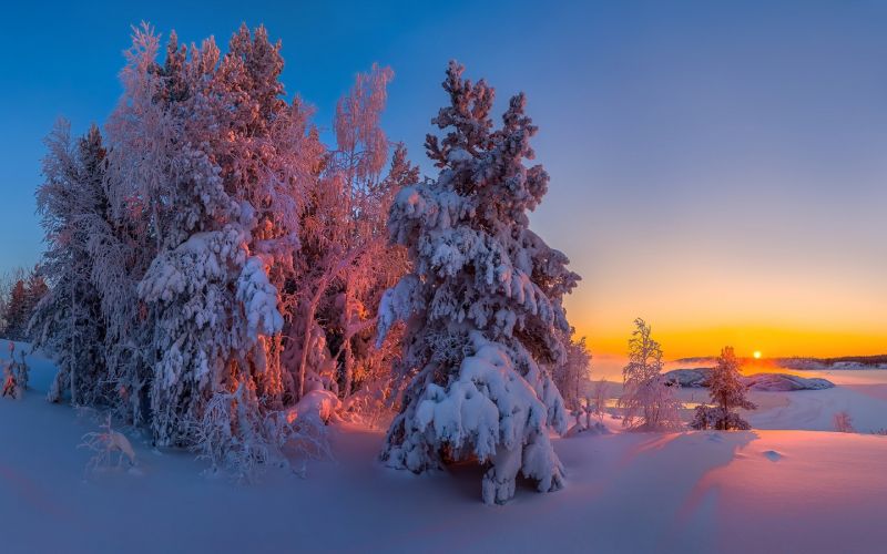 hd,φύση,ηλιακό φως,χειμώνας