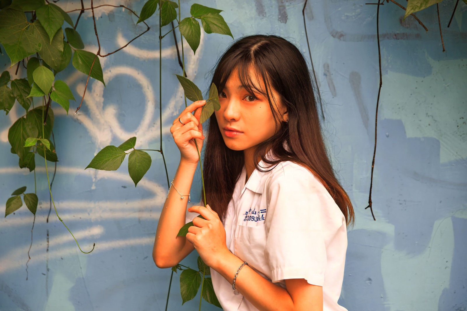 เอเชีย, จีน, น่ารัก, หญิงสาว, สาว ๆ, เกาหลี, โมเดล, คน, เซ็กซี่, ไทย, ผู้หญิง