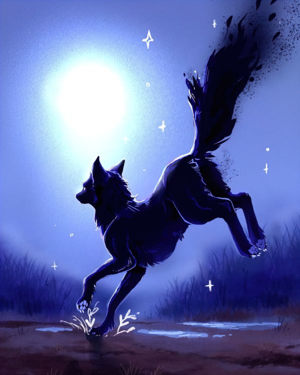 day,freedom,wolf