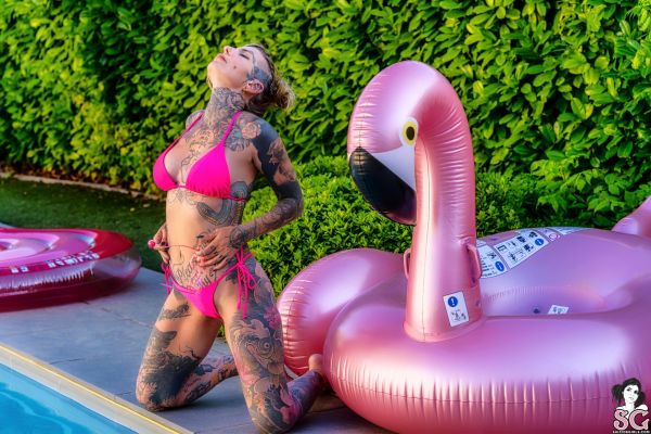 bikini, inked, model, sexy, flamingo, pool