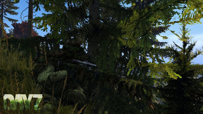 Scharfschütze,Tag z,Spiel,Eigenständig,Überleben