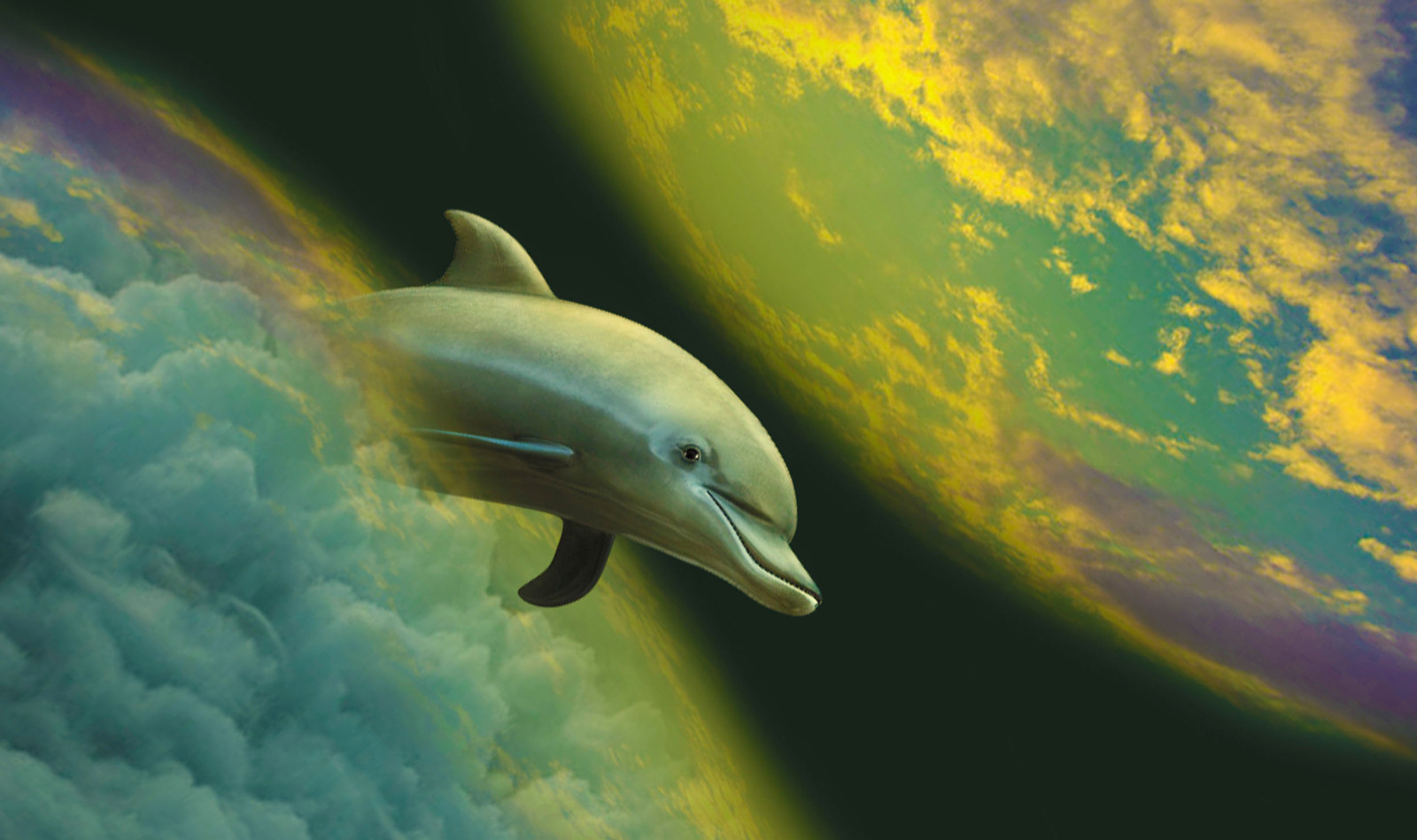 dolphin, Moon, world, space, cloud, yellow