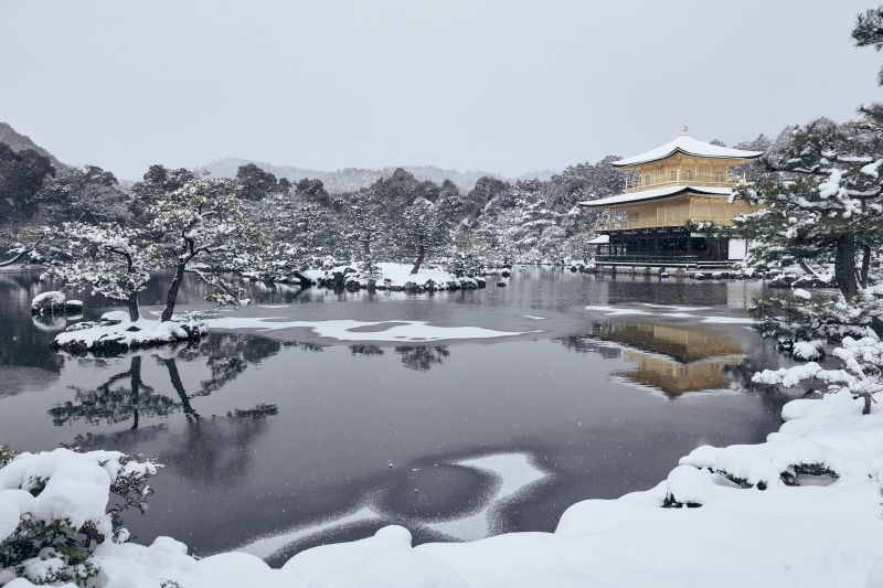 architektura,asijský,atmosféra,podzim,sáčky,Včela