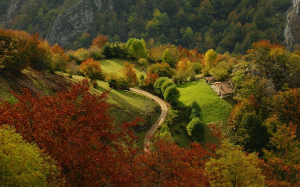 paysage