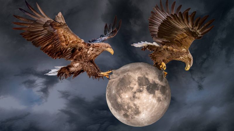 hd,high definition,tapet