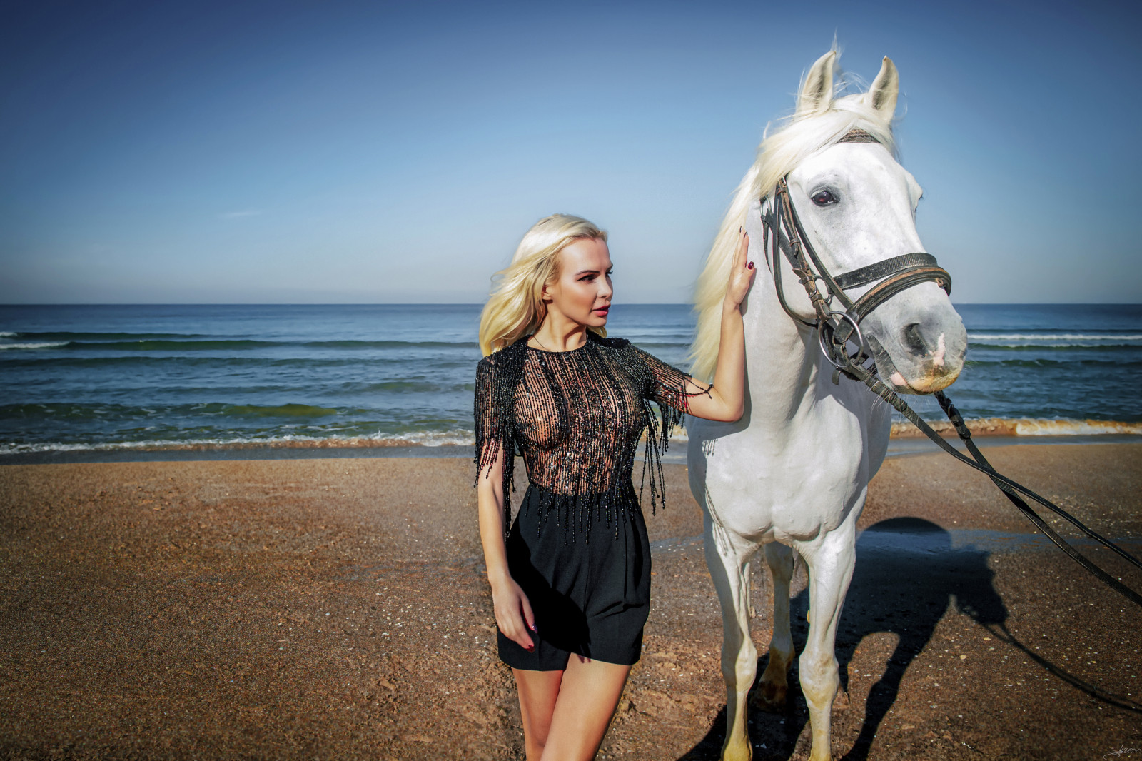 可爱, 女孩, 模型, 人, 性感的, 女人