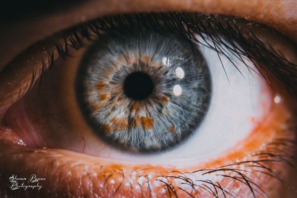 macro,photography,closeup,eye
